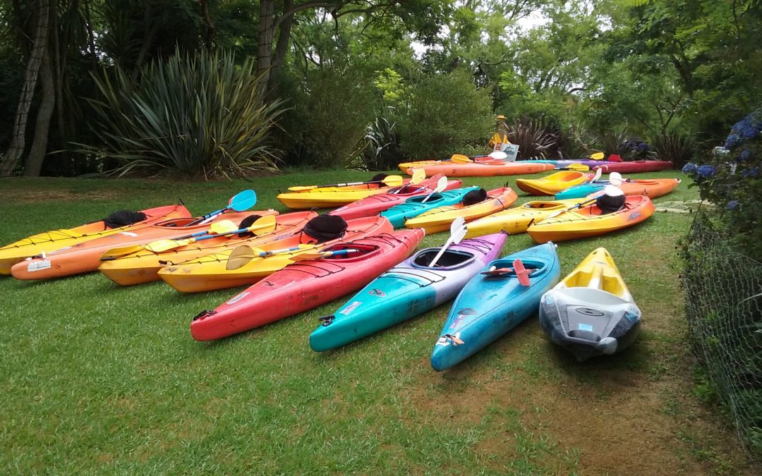 Kayaks